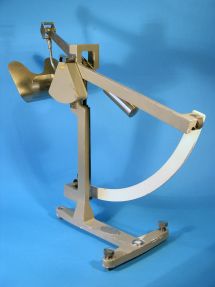 rear of the scale