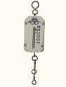 Salter handheld scale