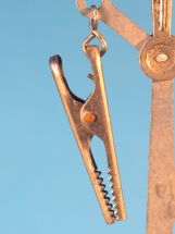 detail 5