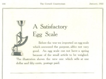 catalog detail