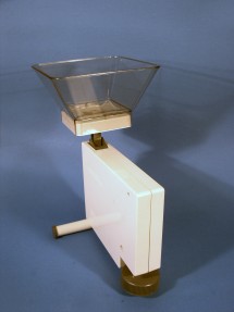 back of the scale
