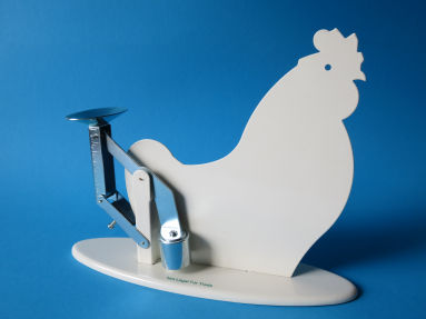 back of the egg scale