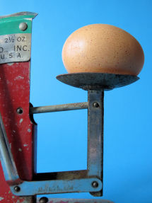 detail 6