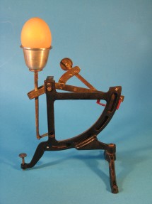 back of the scale
