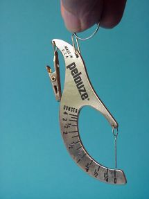 Pelouze pocket scale