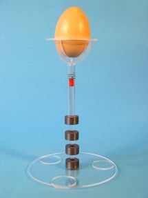 egg scale
