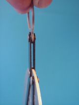 detail 1