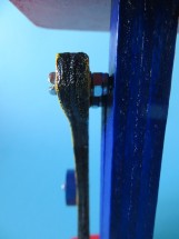 detail 12