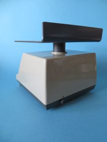 back of the scale