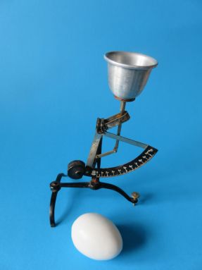 egg scale