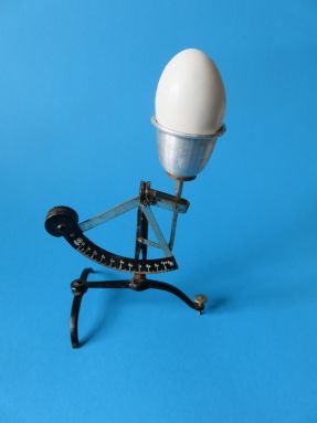 eierweger