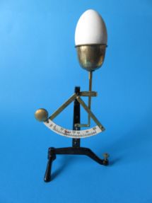 scale with egg