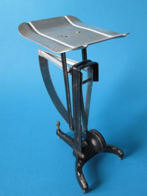 back of the scale