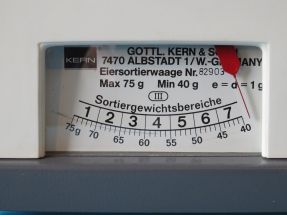 detail 7