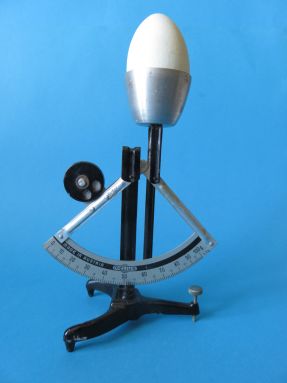 scale with egg