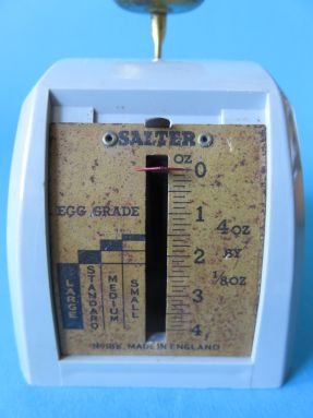 egg scale