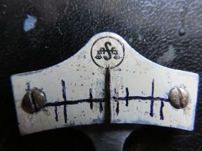 scale detail