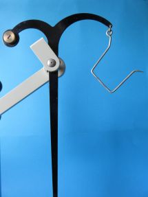 scale detail