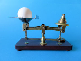 scale with egg