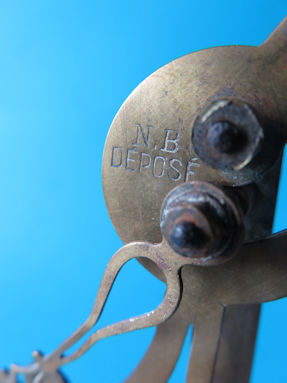scale detail
