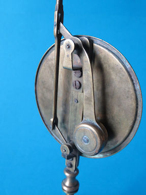 scale detail