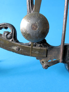 scale detail