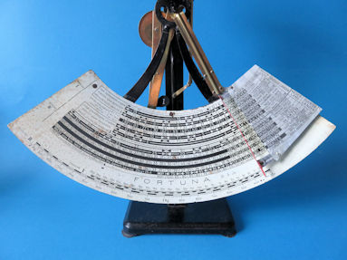 scale detail
