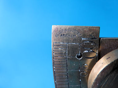 scale detail