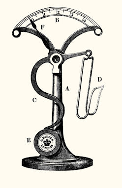 scale