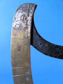 scale detail