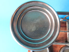 scale detail