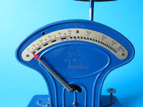 scale detail