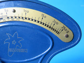 scale detail