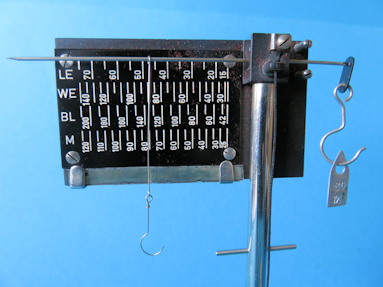 detail 9