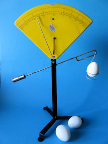 egg scale