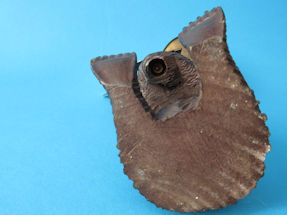 detail 9