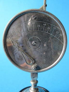 scale detail