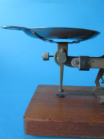 scale detail