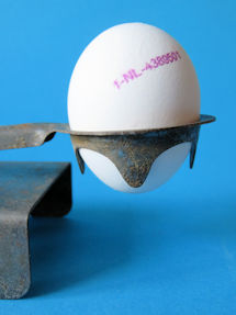 scale detail