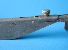scale detail