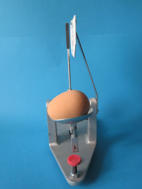 side view