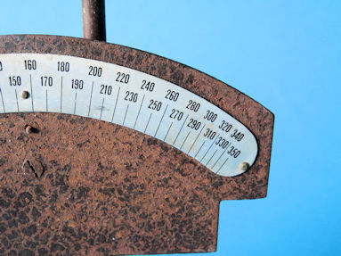 scale detail