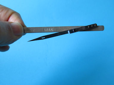 scale partly unfolded