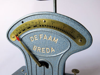 scale detail