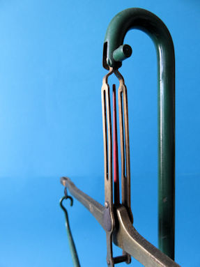 scale detail