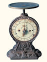 Salter 1000 gram