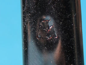 detail 9