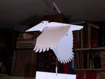 pelican weighing a letter