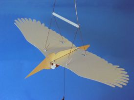 Fly Aweigh - John McMillan