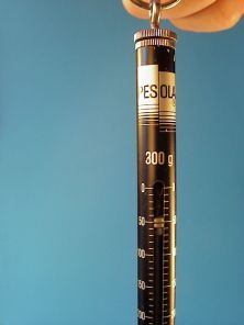 hand-held scale Pesola